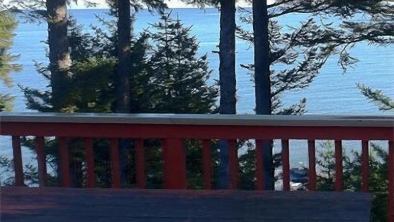 Photo of Others in Kodiak
