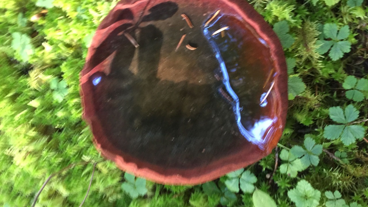 Photo of Outdoor in Alyeska