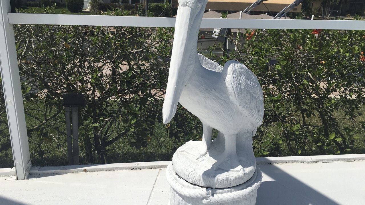 Photo of Others in Pelican