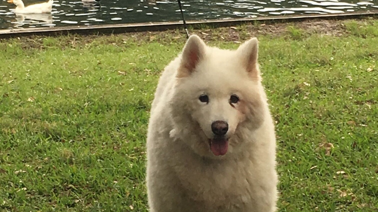 Photo of Others in Demere Park