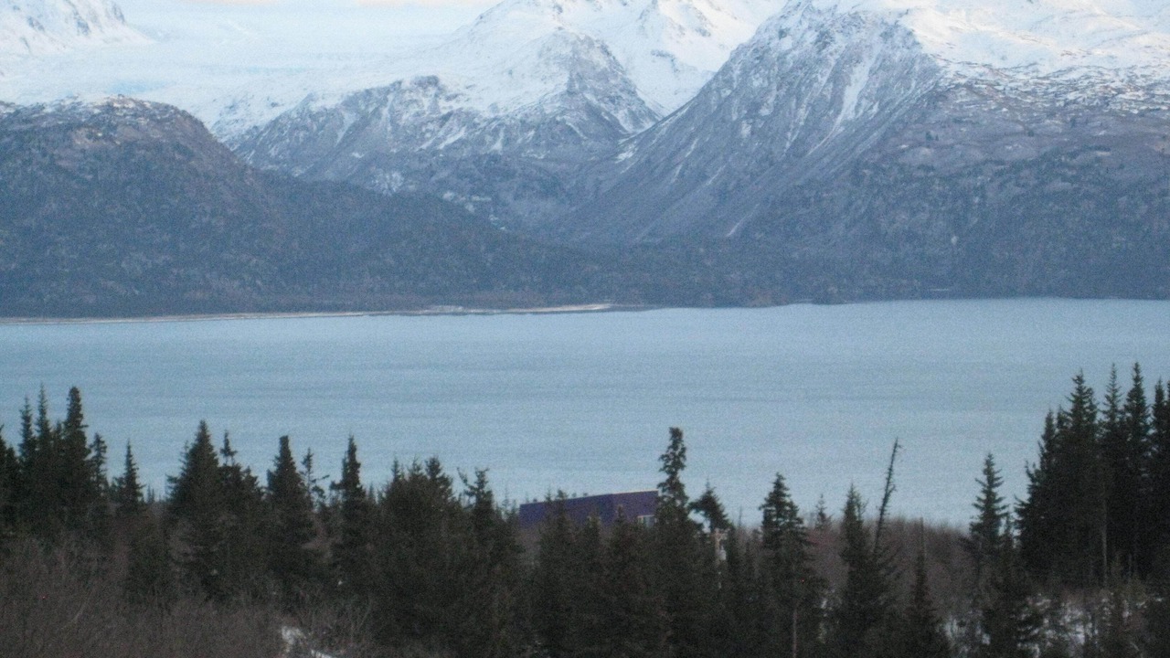 Photo of Others in Fritz Creek