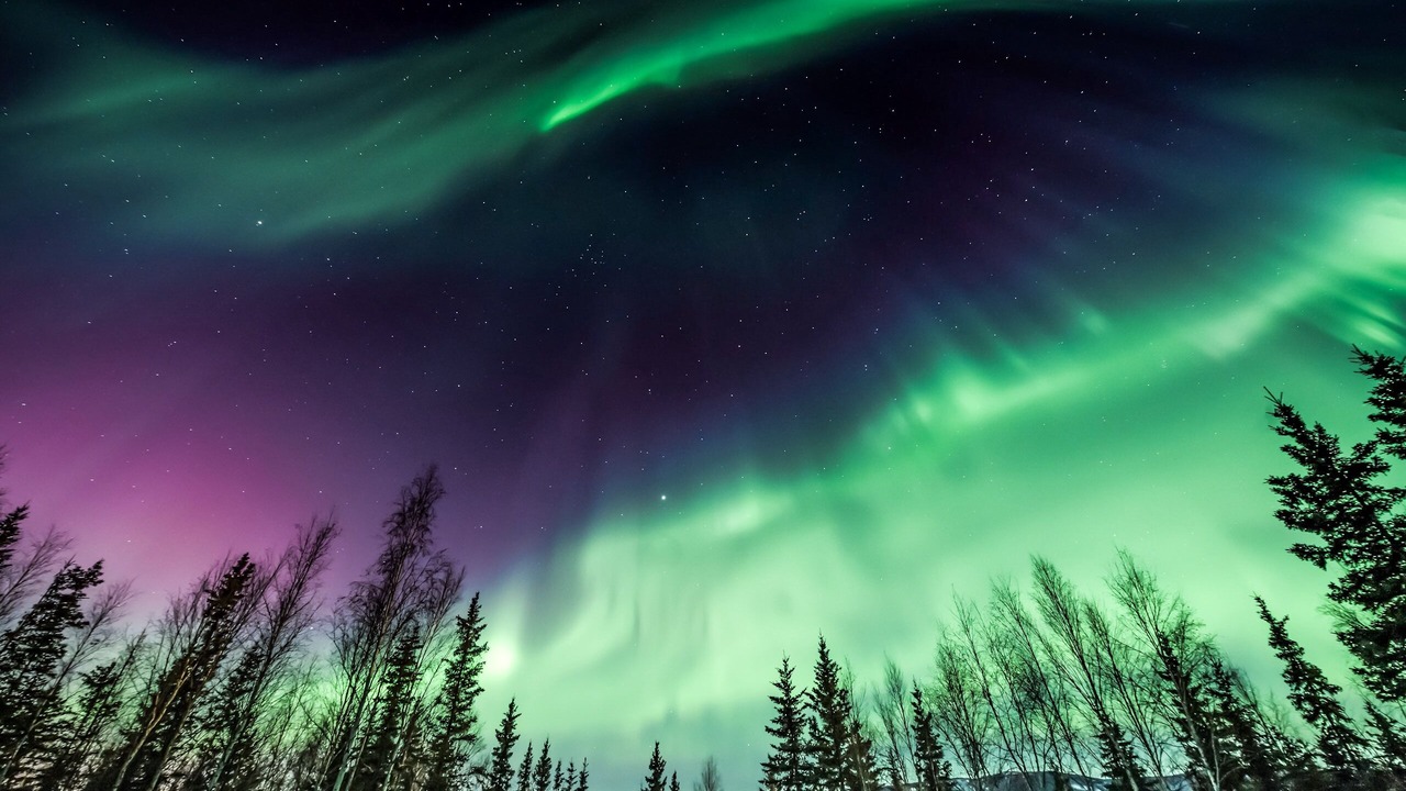 Photo of Others in Fairbanks