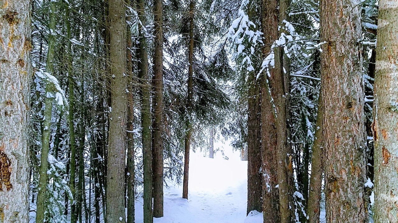 Photo of Others in Fairbanks