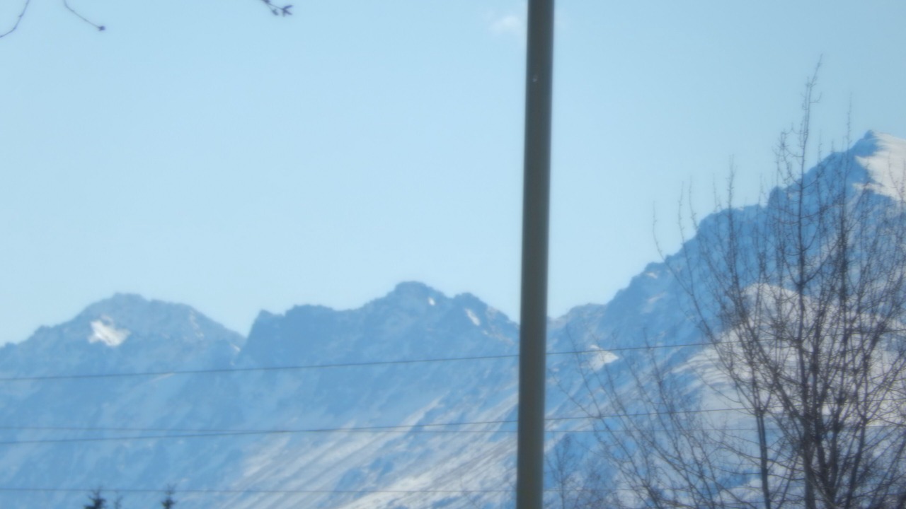 Photo of Outdoor in Russian Jack Park