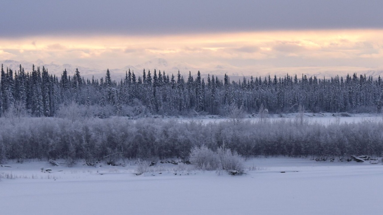 Photo of Others in Fairbanks