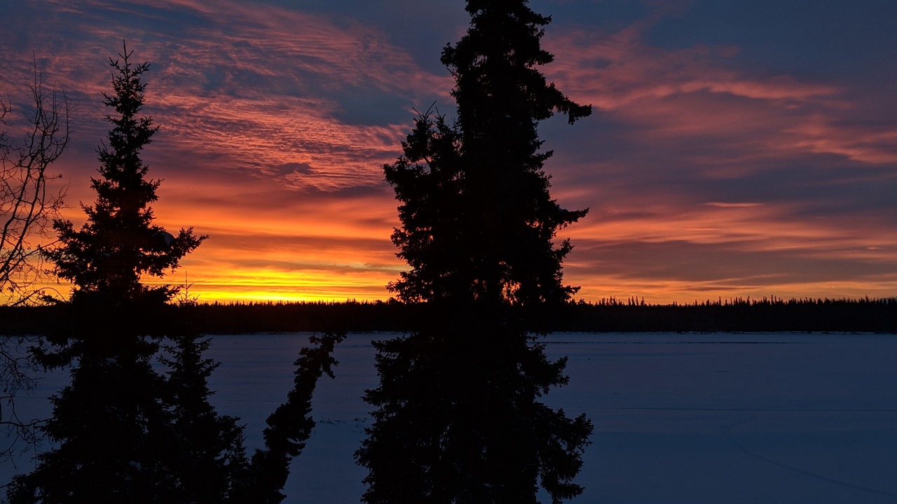 Photo of Others in Fairbanks