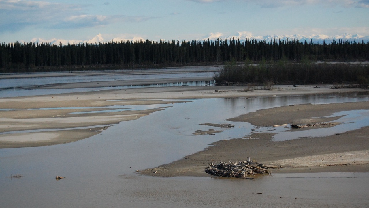 Photo of Others in Fairbanks