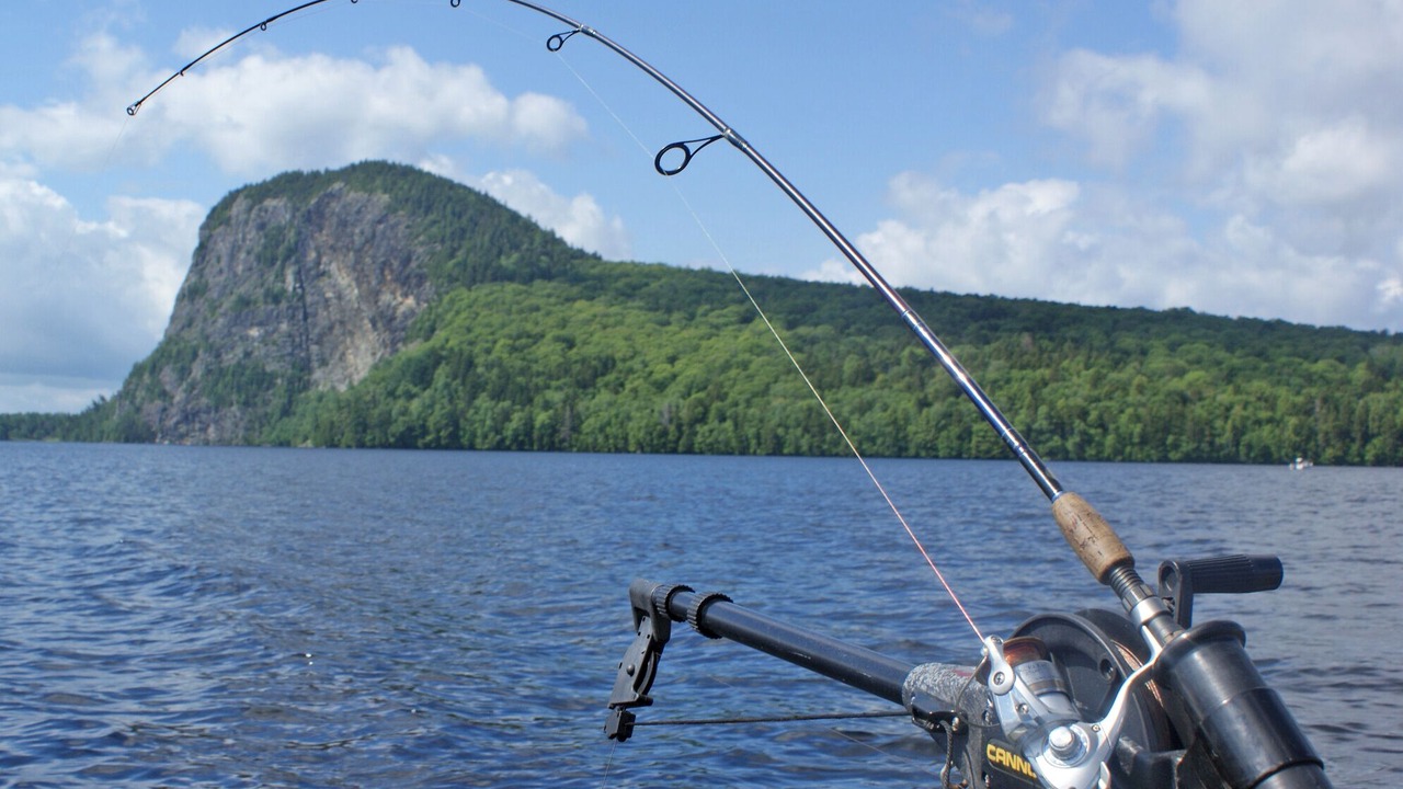 Photo of Outdoor in Rockwood