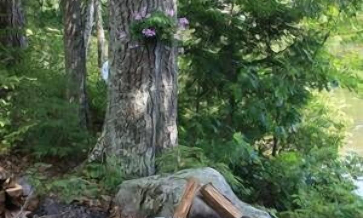 Photo of Outdoor in Farmington Falls