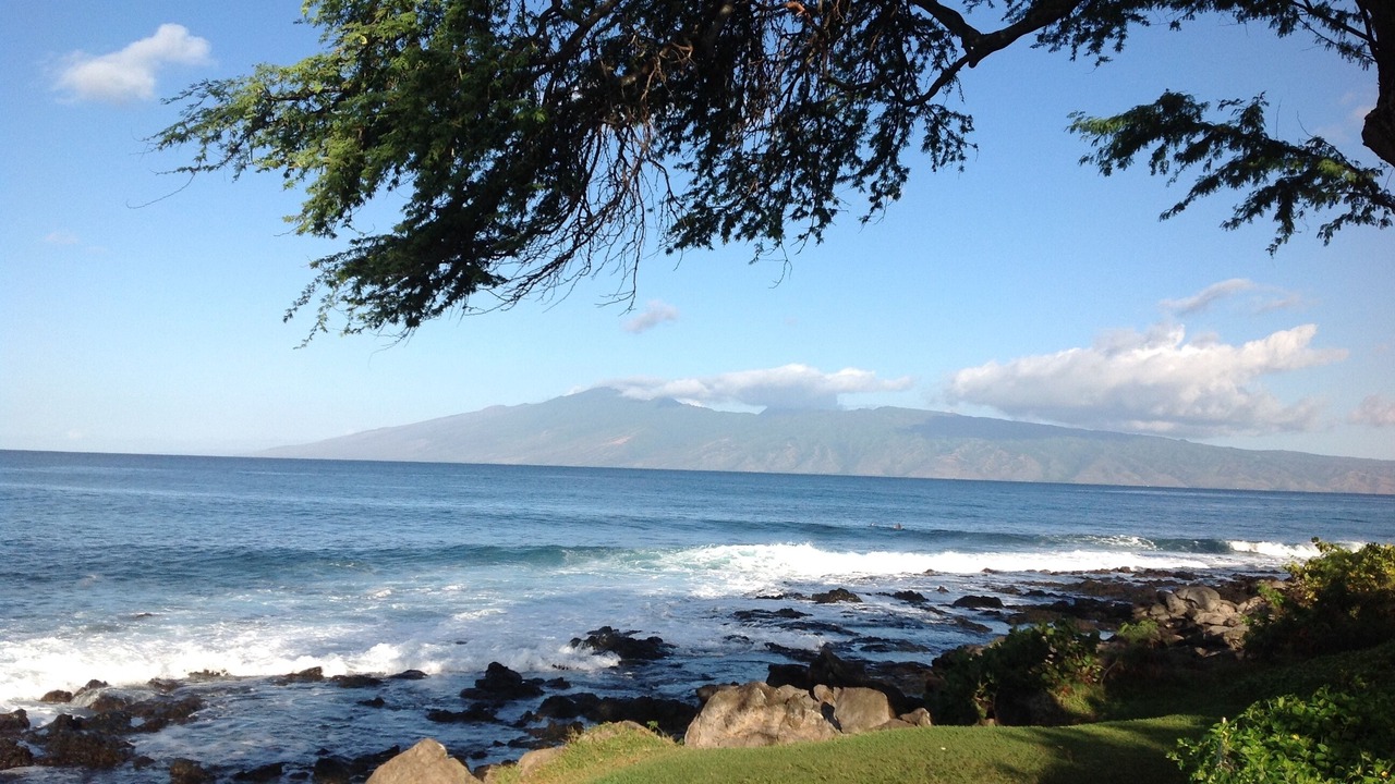Photo of Others in Napili