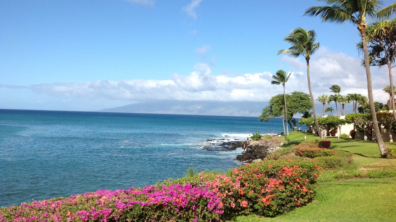 Photo of Others in Napili