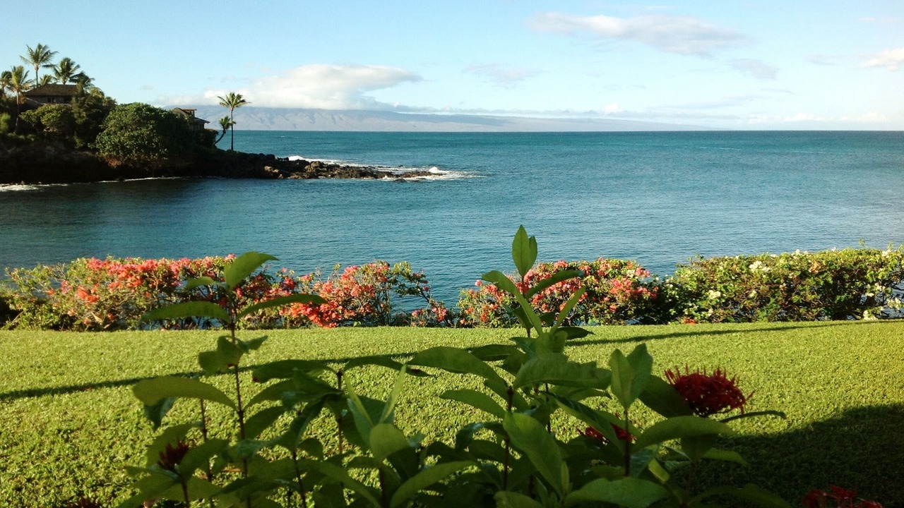 Photo of Others in Napili