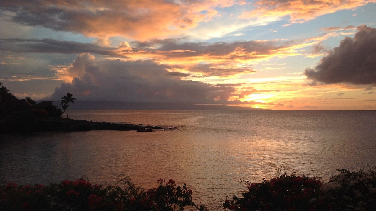 Photo of Others in Napili