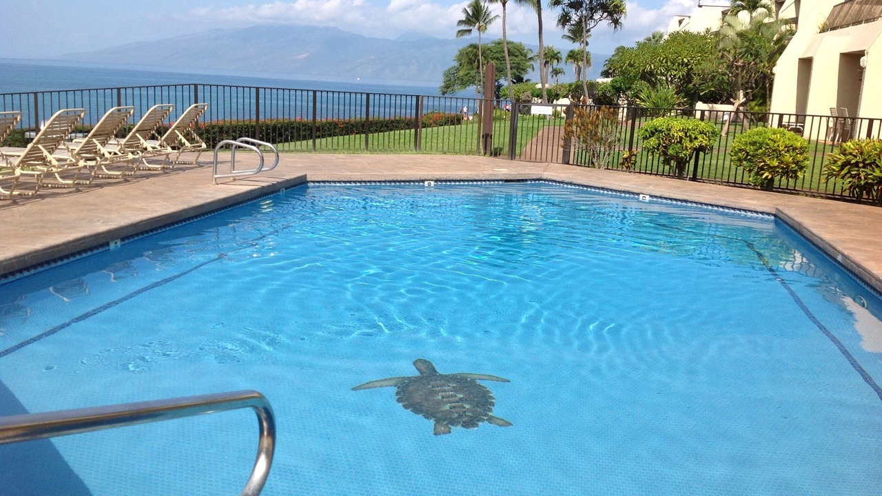 Photo of Outdoor in Napili
