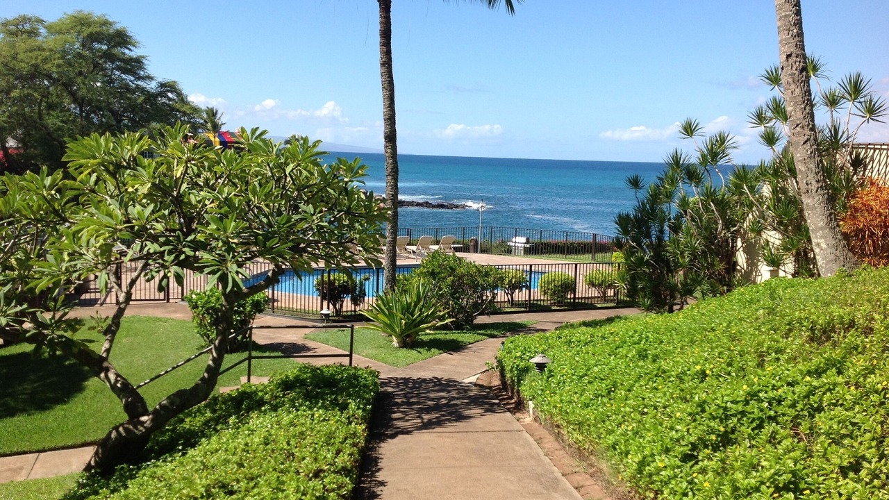 Photo of Others in Napili