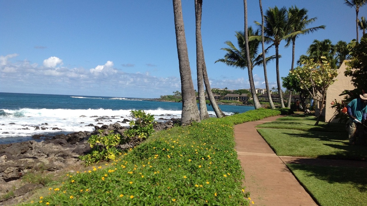 Photo of Others in Napili