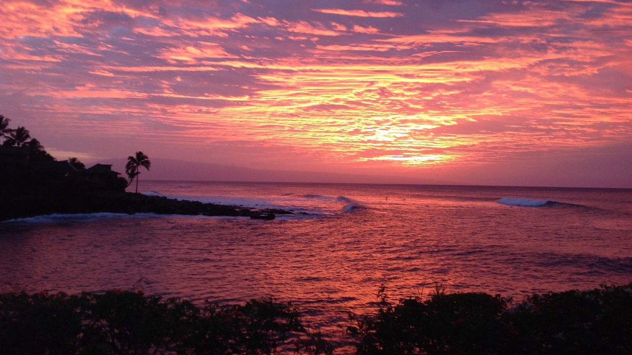 Photo of Others in Napili