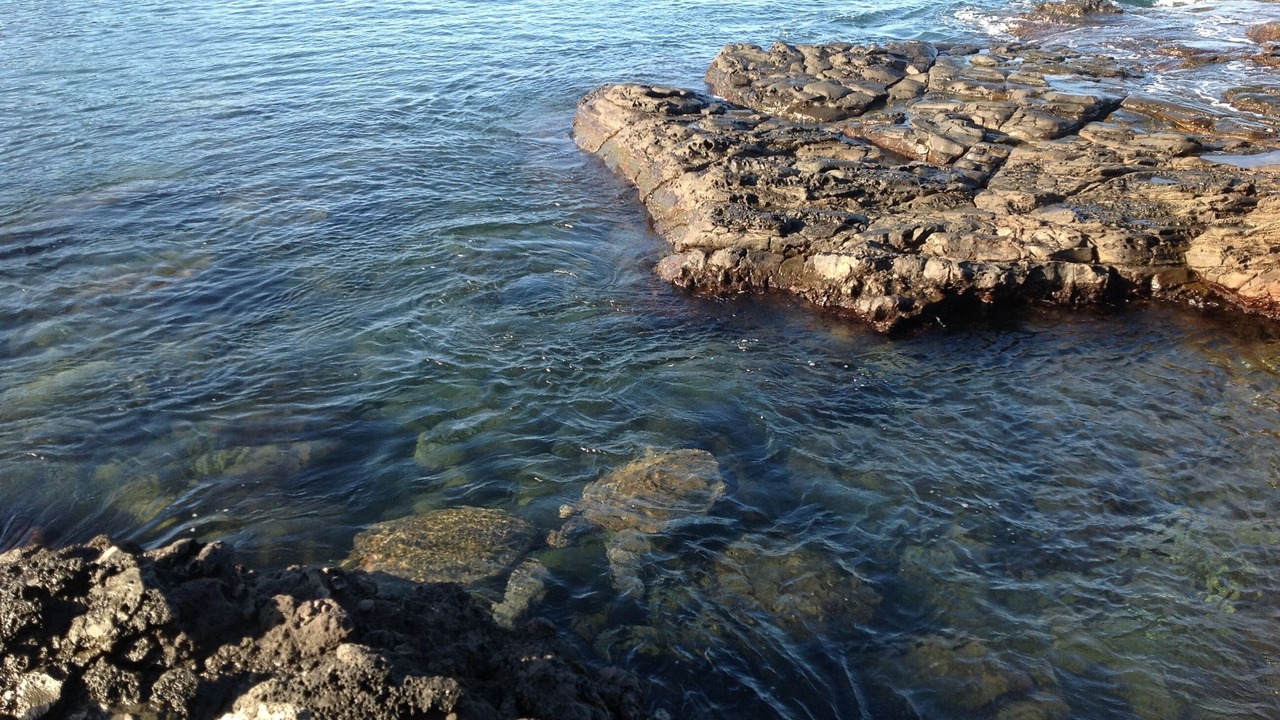 Photo of Others in Napili