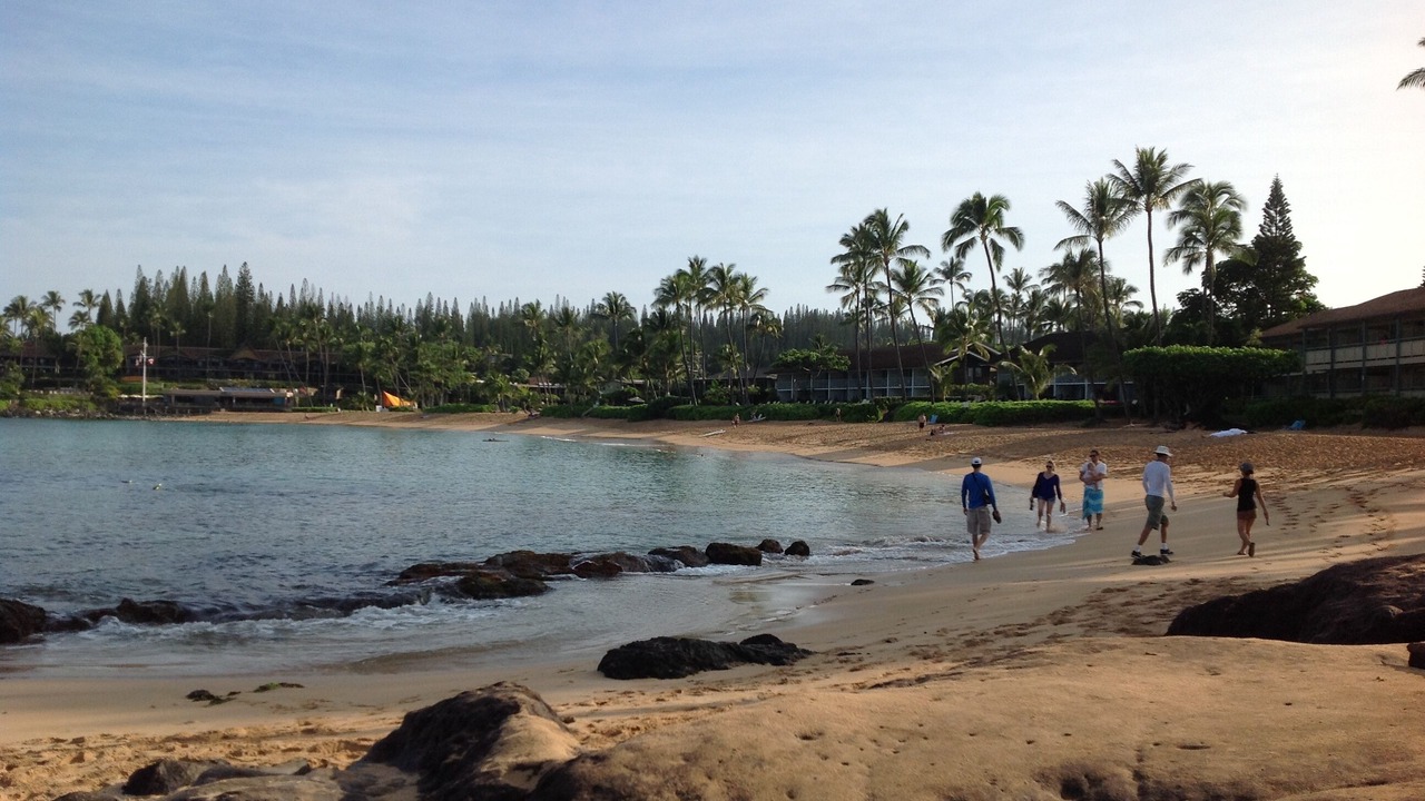 Photo of Others in Napili
