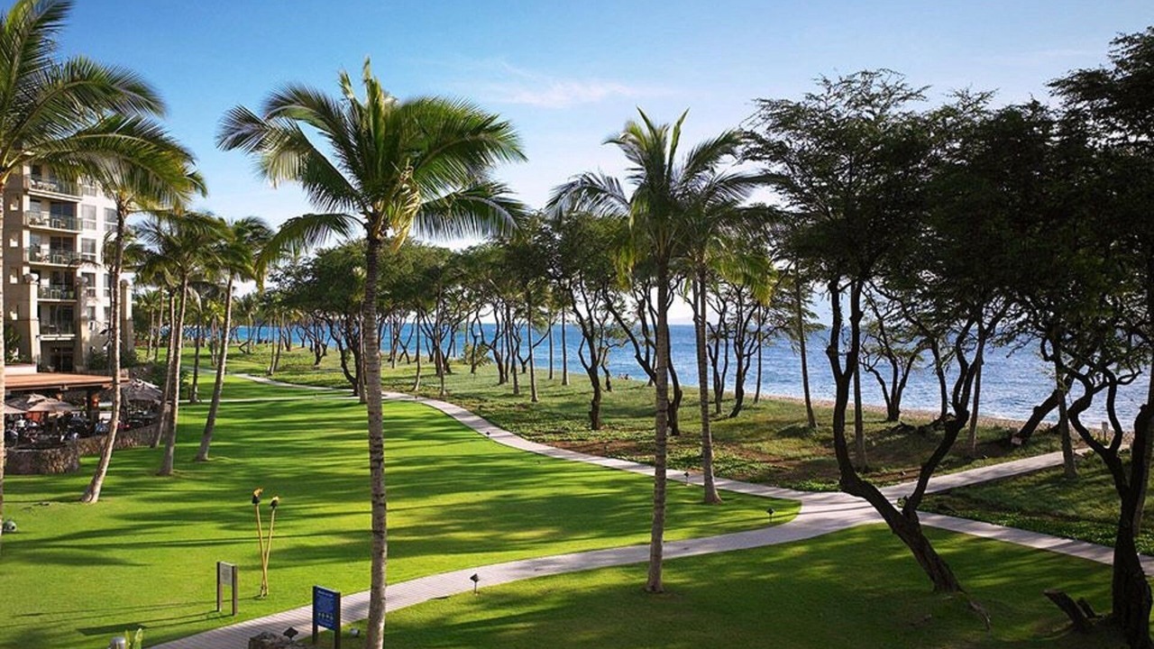 Photo of Others in Kaanapali