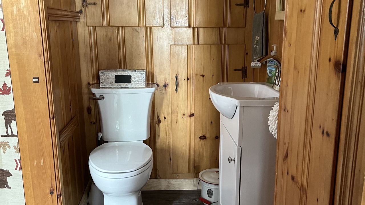 Photo of Bathroom in Saint David