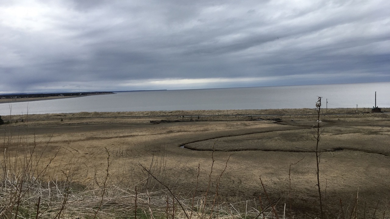 Photo of Others in Kenai