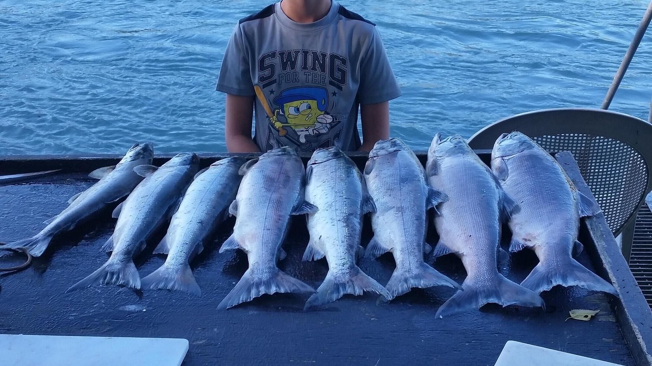 Photo of Others in Sterling