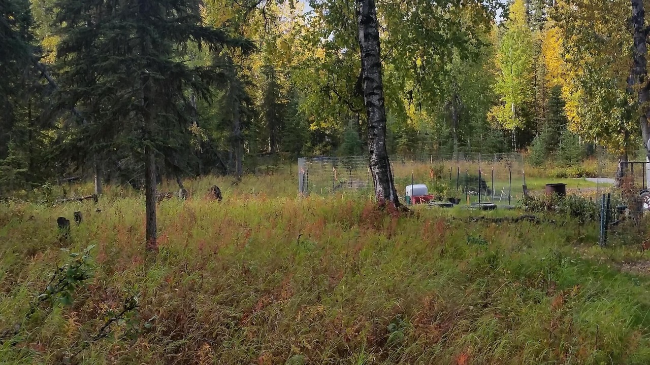 Photo of Outdoor in Sterling