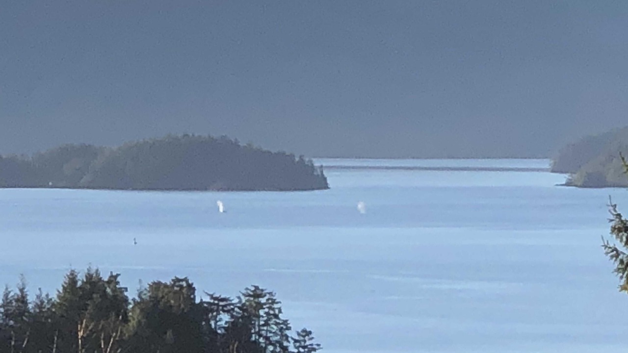 Photo of Others in Sitka