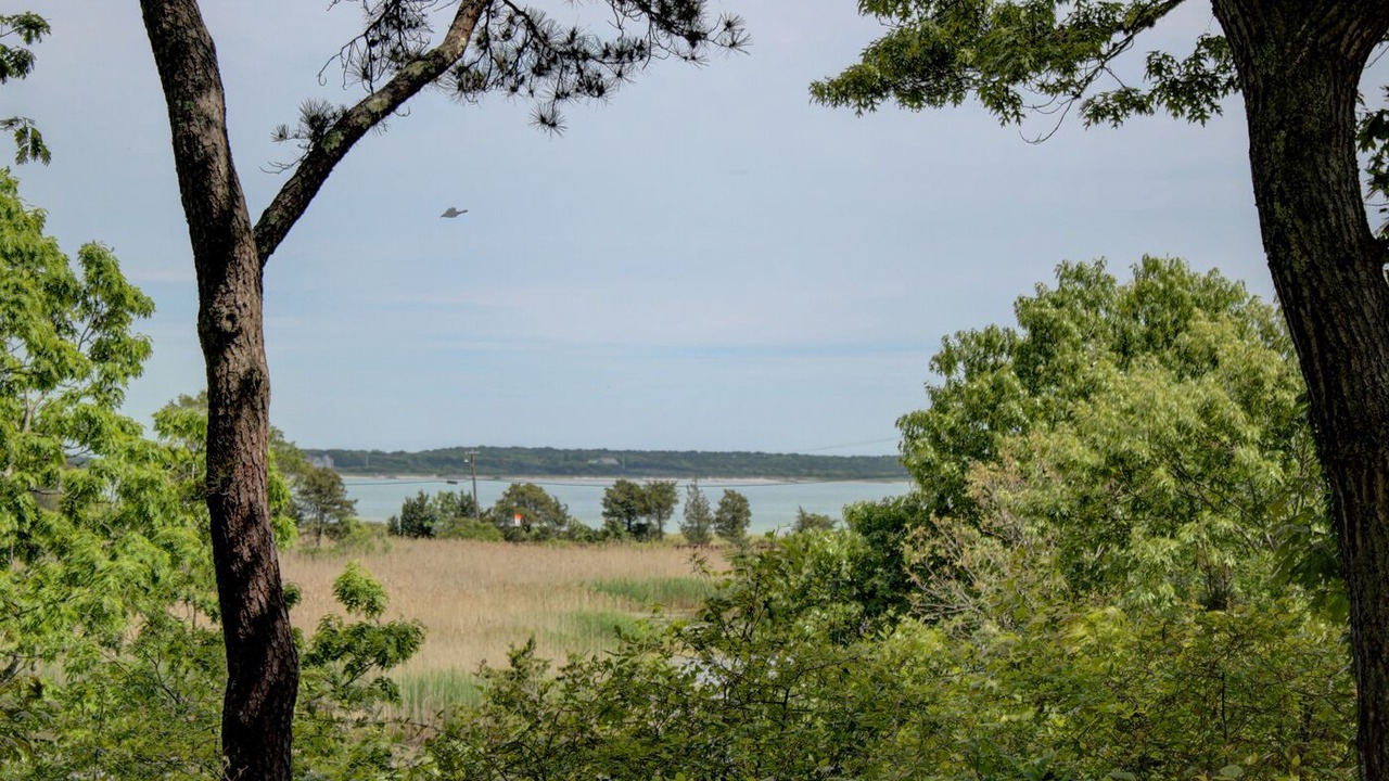 Photo of Others in Hyannis Port