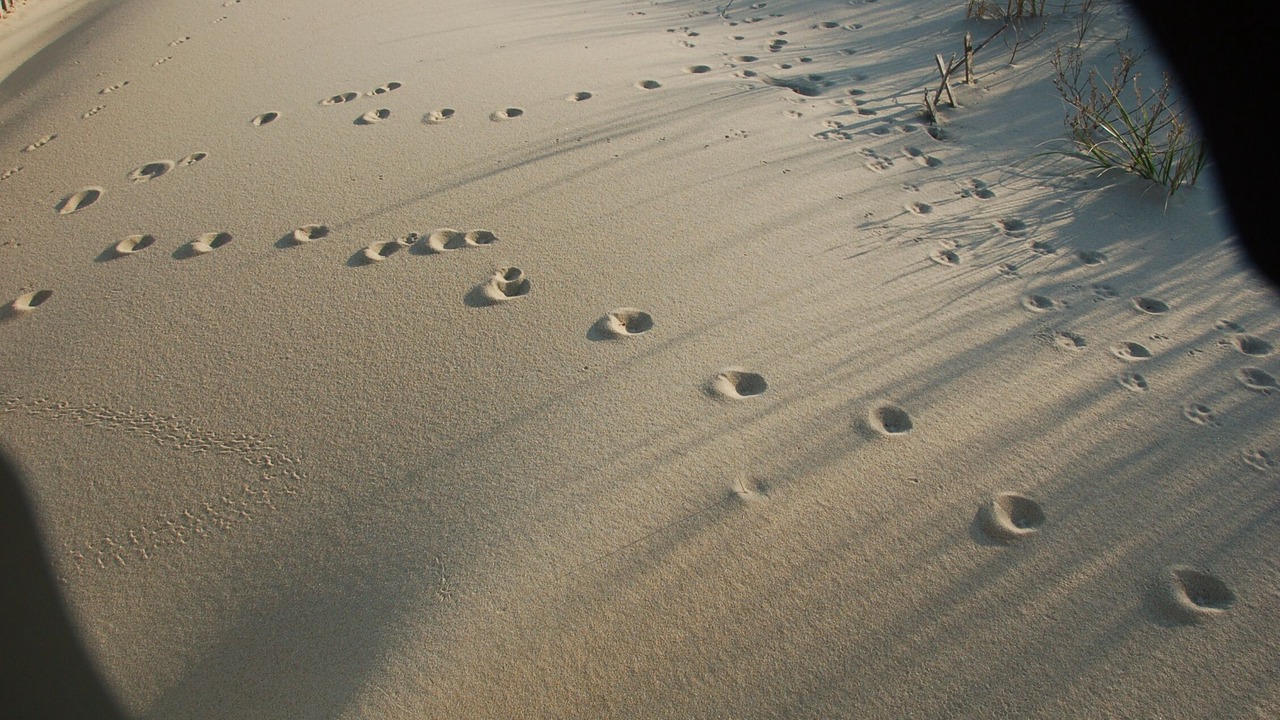 Photo of Others in Rehoboth Beach