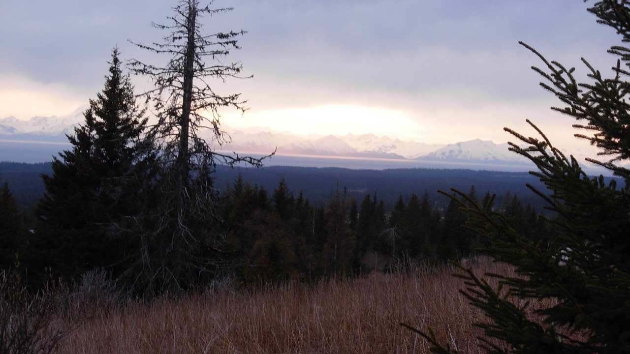 Photo of Others in Diamond Ridge