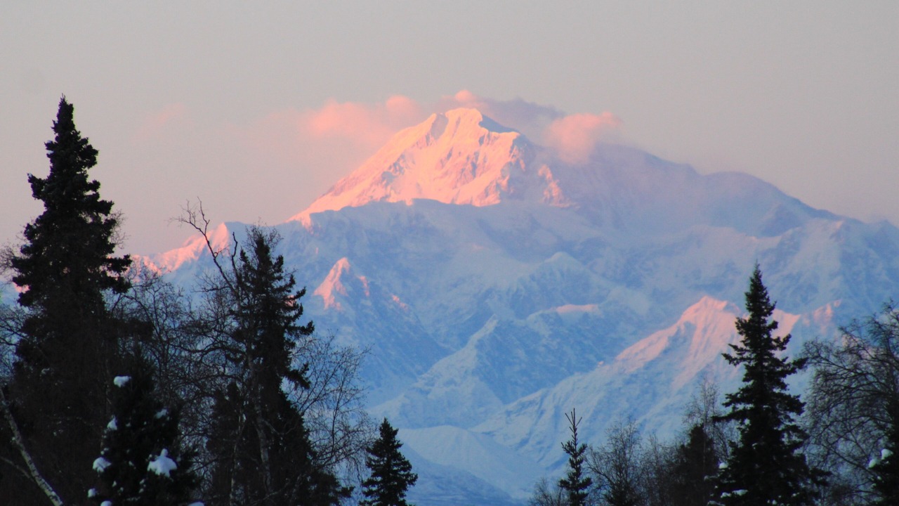 Photo of Others in Talkeetna