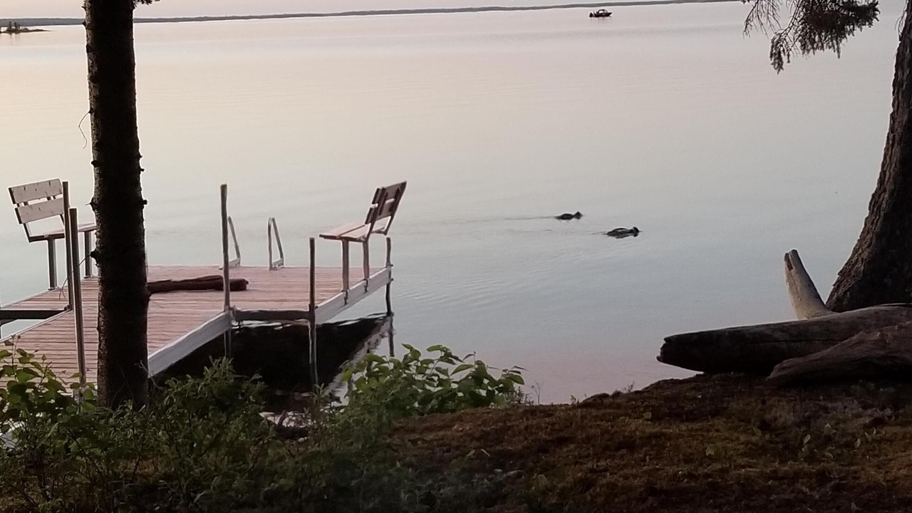 Photo of Outdoor in Rockwood