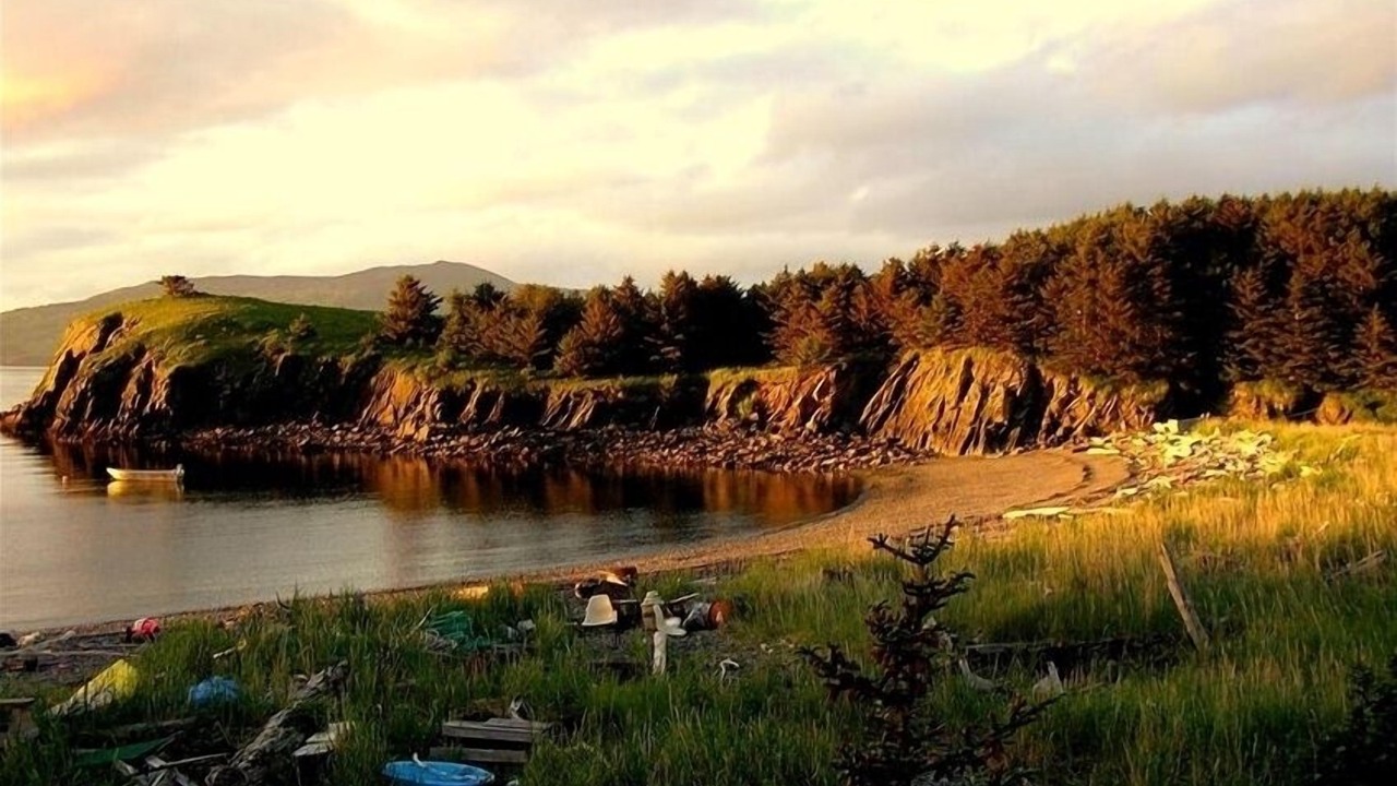 Photo of Others in Kodiak