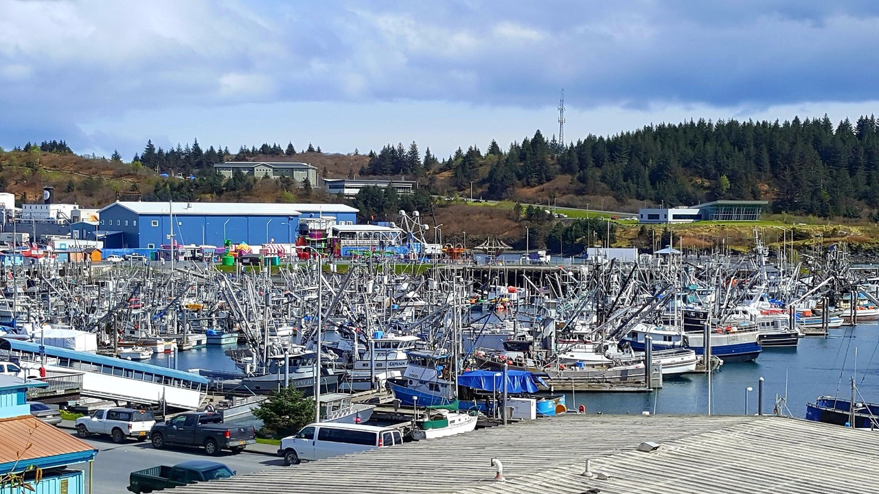 Photo of Others in Kodiak