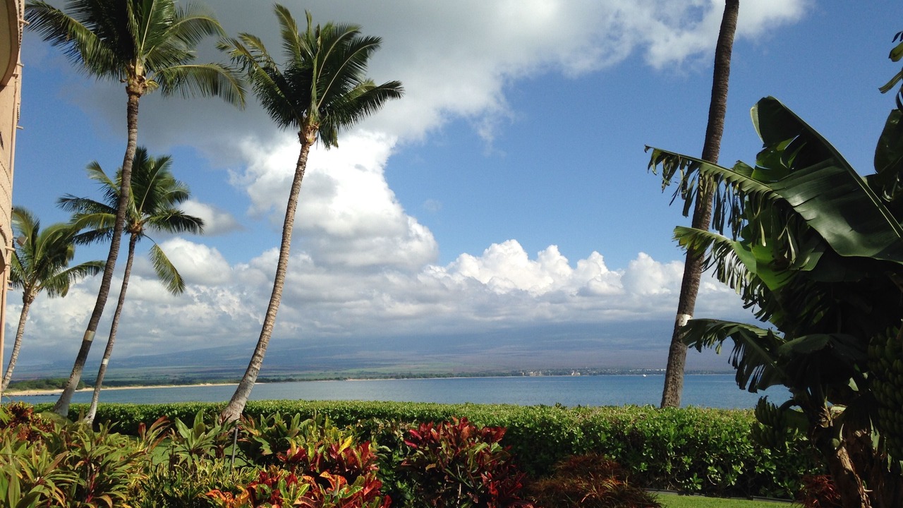 Photo of Others in Maalaea
