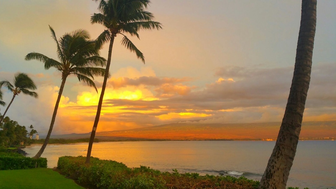 Photo of Others in Maalaea