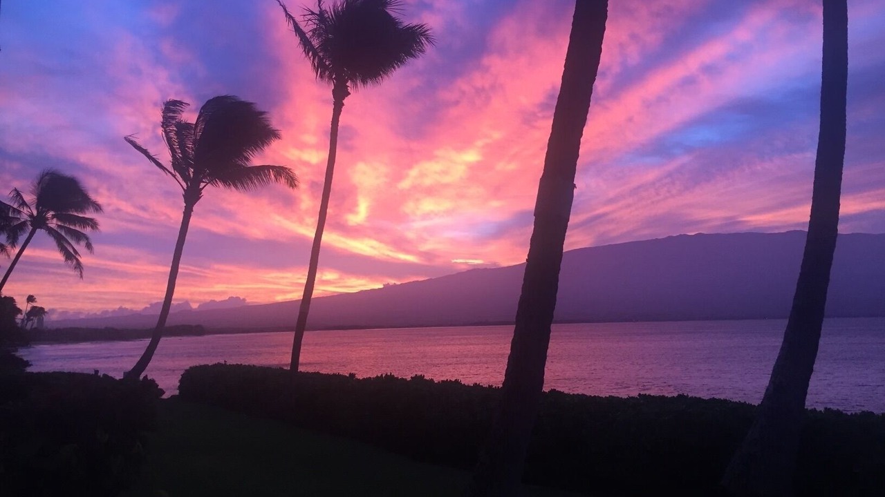 Photo of Others in Maalaea