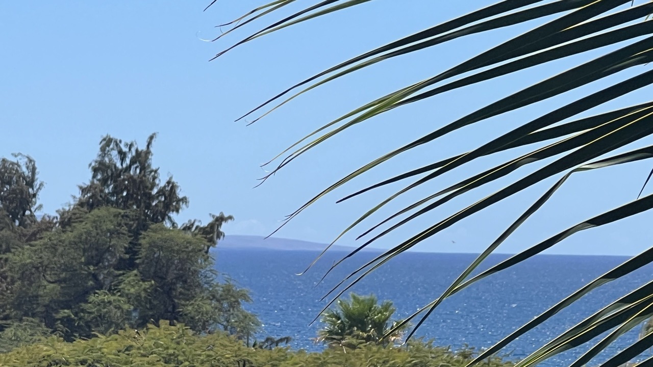 Photo of Others in Kihei