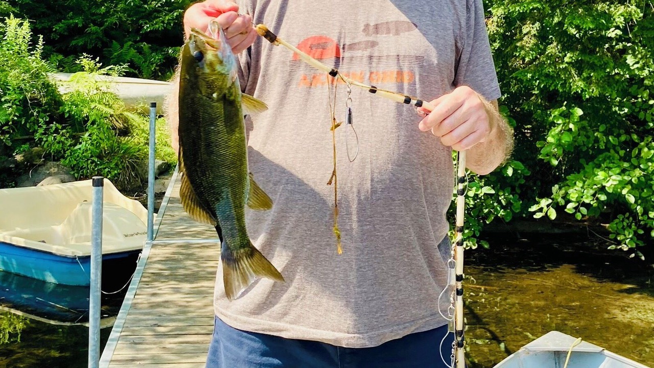 Photo of Others in Farmington Falls