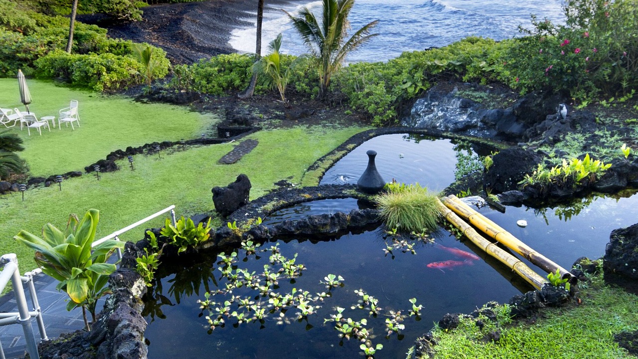 Photo of Outdoor in Hana