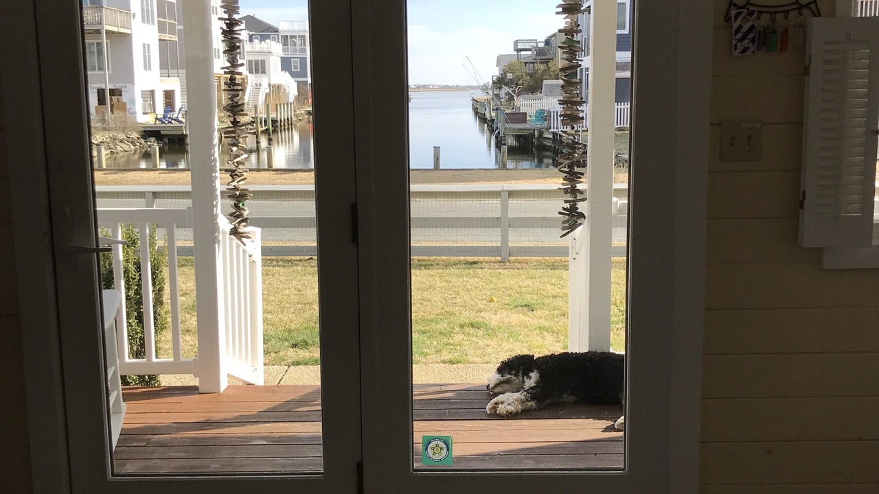 Photo of Others in Bethany Beach