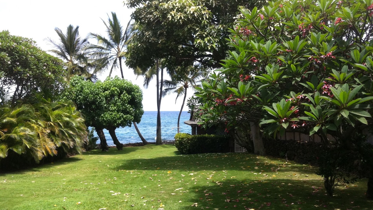 Photo of Others in Wailea