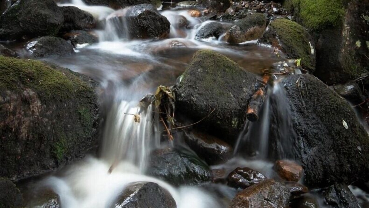 Photo of Outdoor in North Douglas