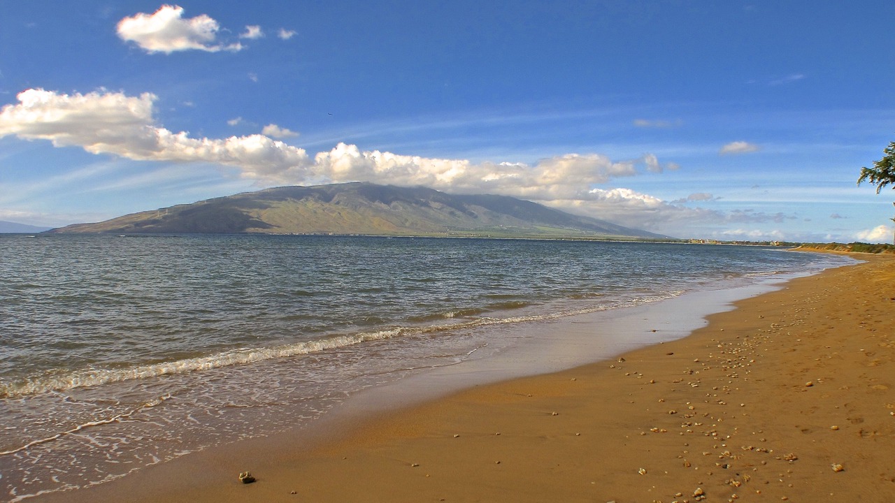 Photo of Others in Kihei