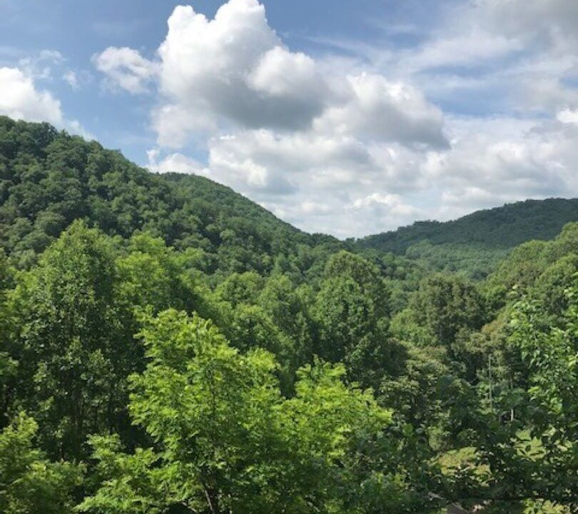 Photo of Outdoor in Newland