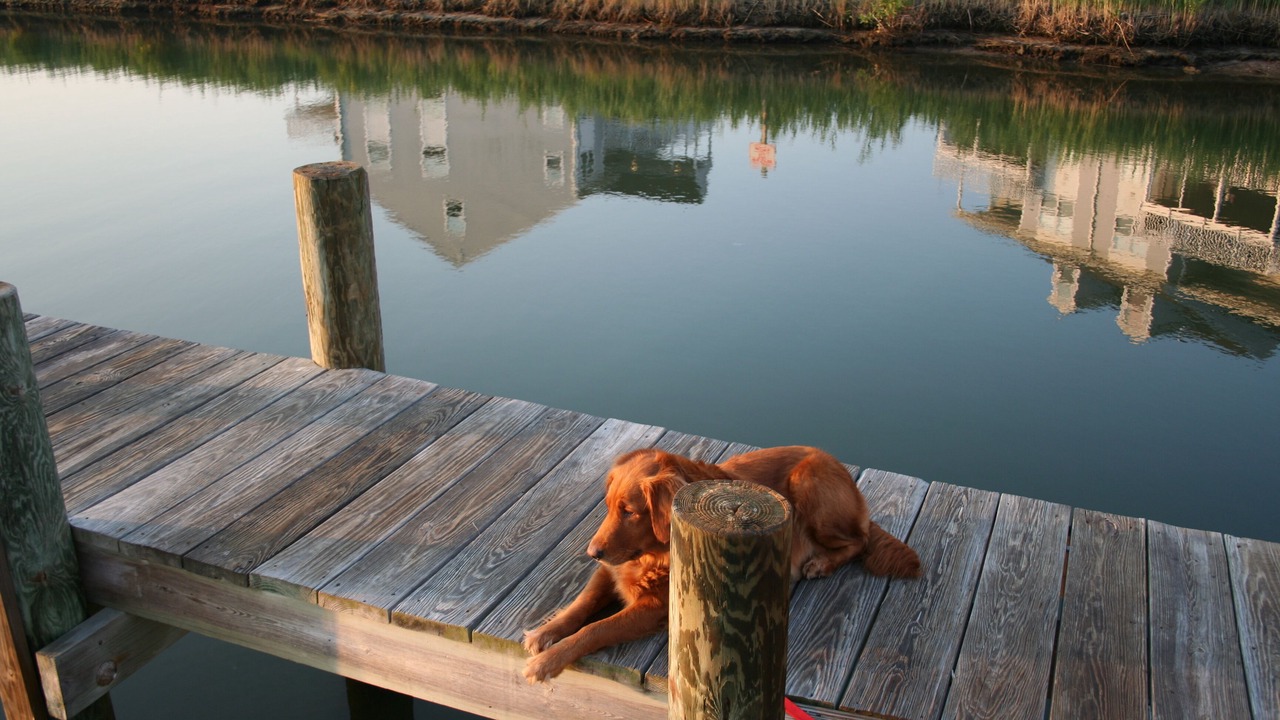 Photo of Outdoor in Ocean View