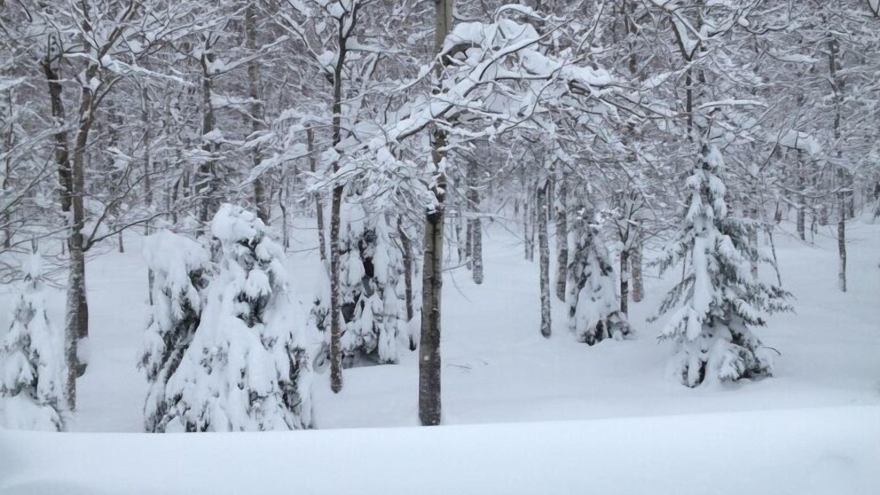 Photo of Others in Carrabassett Valley