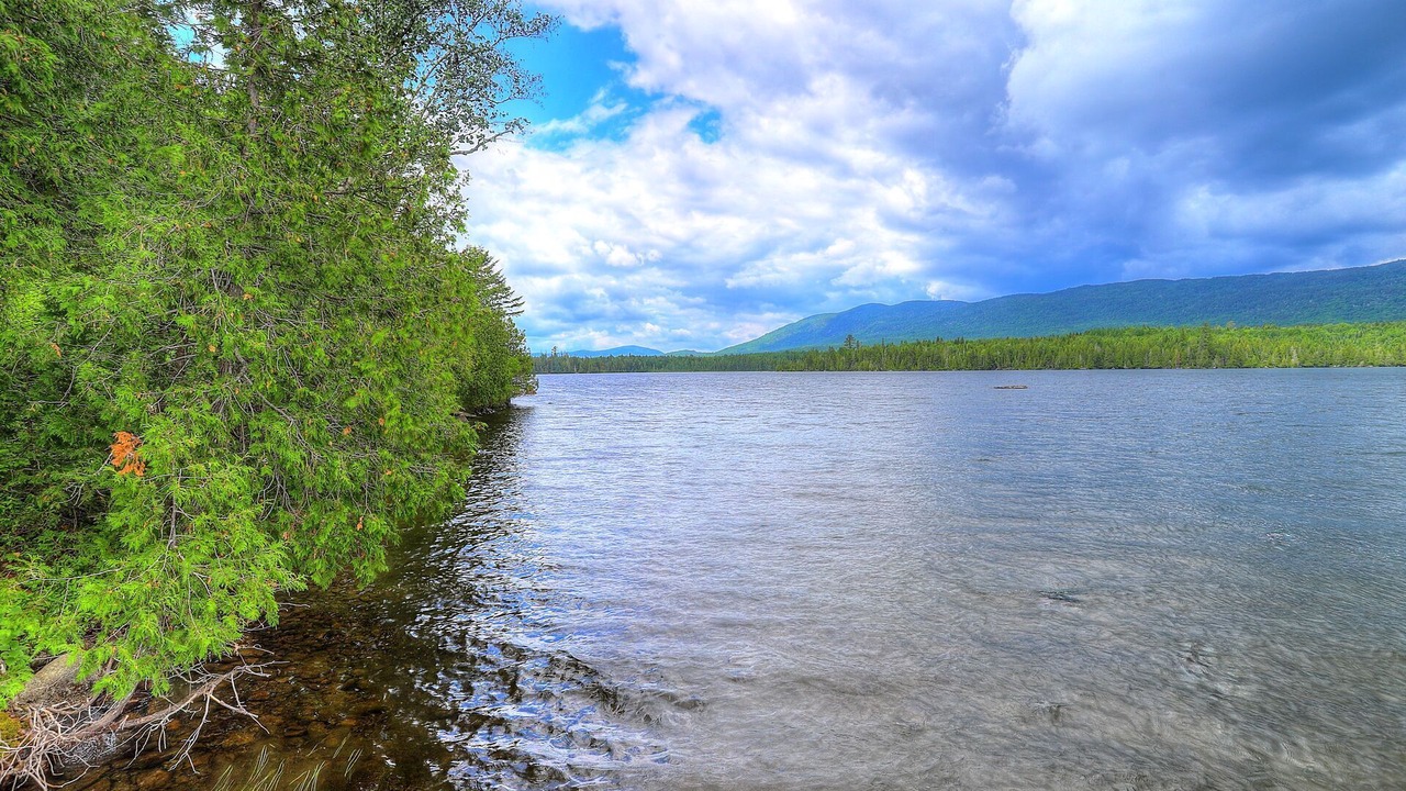 Photo of Others in Rangeley